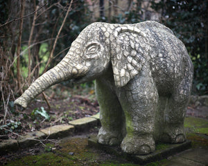 Stor elefant